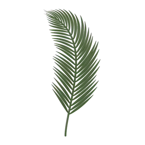 Palm Leaf 3D Graphic