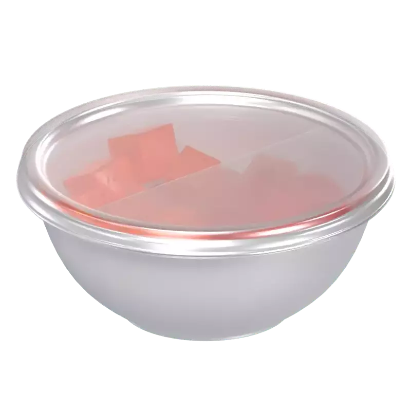 3D Bowl Food Container 3D Graphic