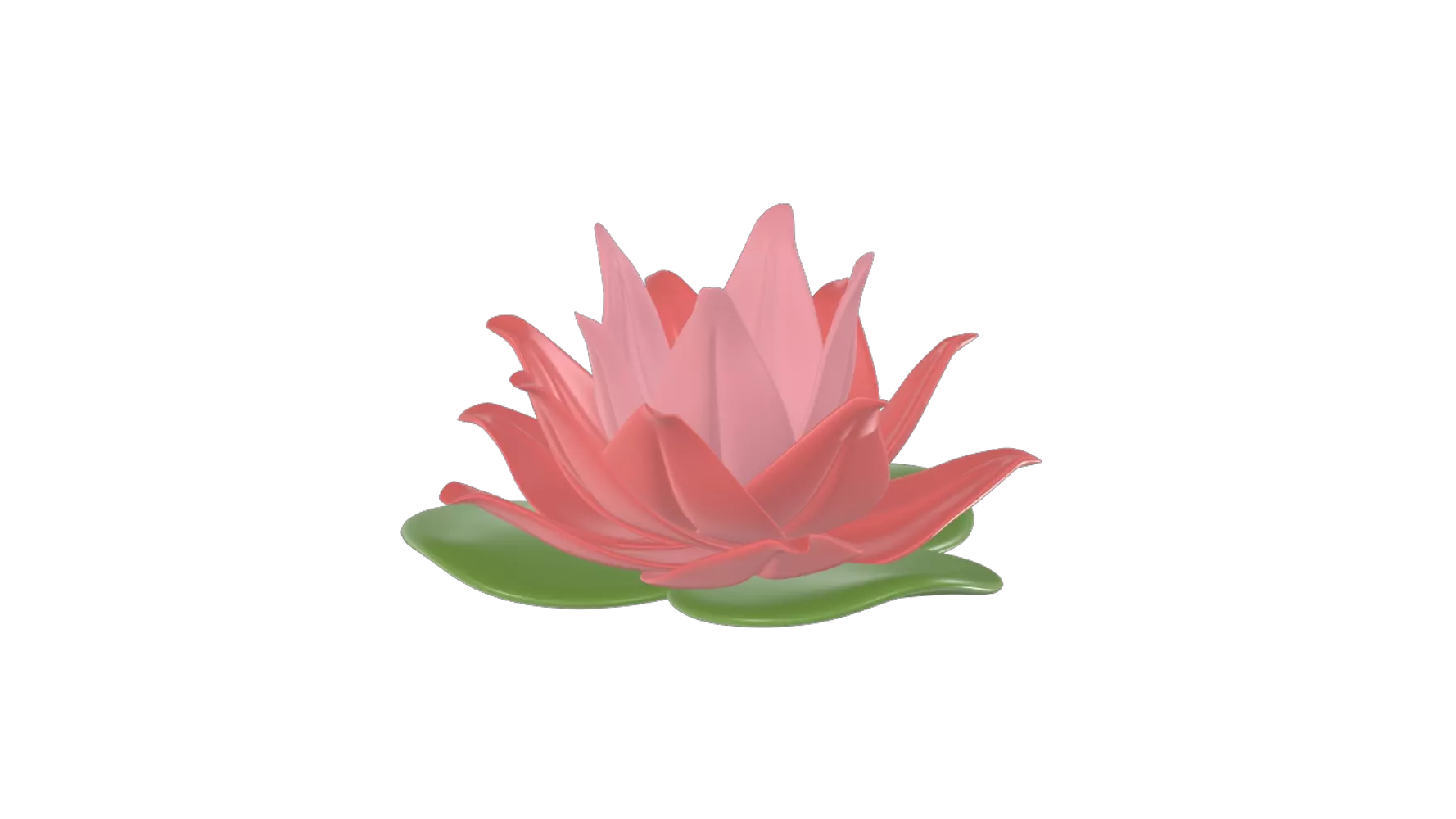 Lotus Flower 3D Graphic
