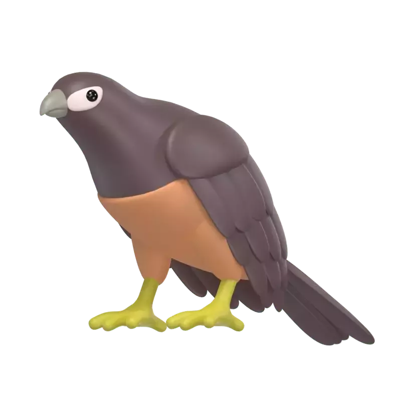 Hawk 3D Graphic