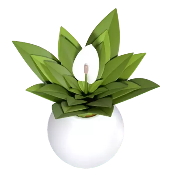 Spathiphyllum Plant 3d model--f1b89e66-1e16-4fc1-887d-46c0c5fe02a6