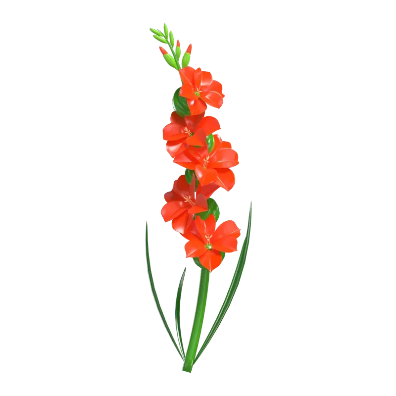 3D Model of Orange Gladiolus Flower 3D Graphic