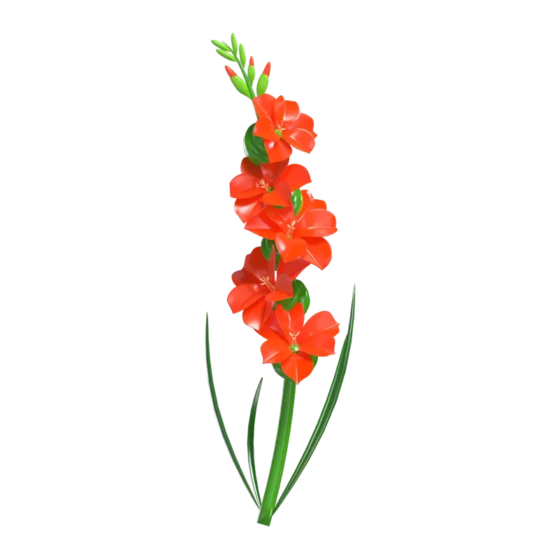 3D-Modell einer orangefarbenen Gladiolenblüte 3D Graphic