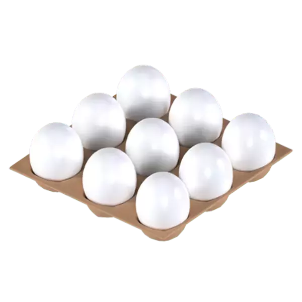 Eggs 3D Graphic