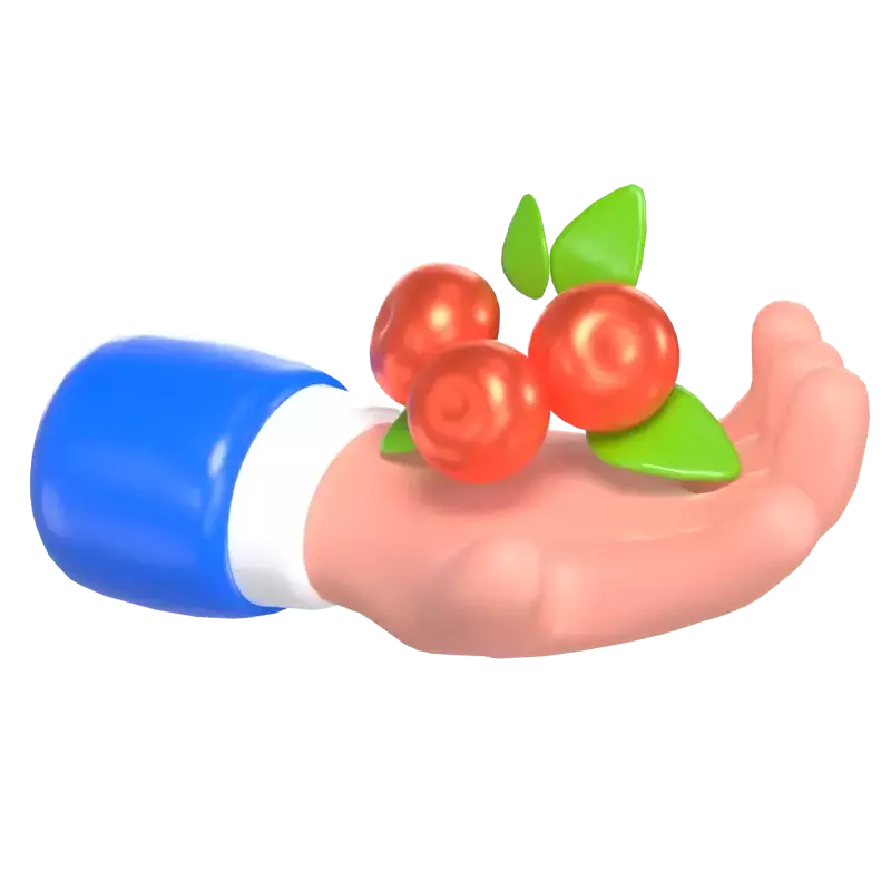 Berries 3D Graphic