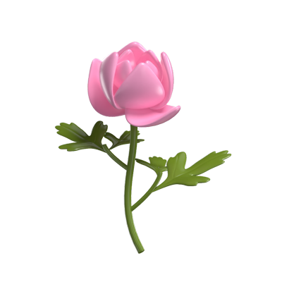 3D Peony Cute Luxurious Floral Elegance 3D Graphic