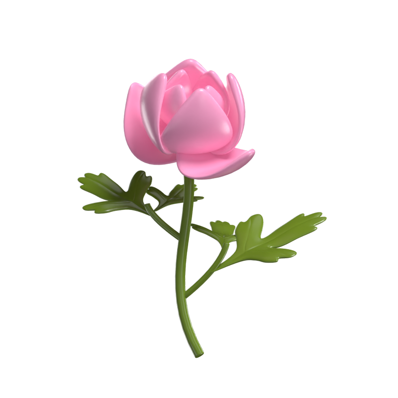 3D Peony Cute Luxurious Floral Elegance 3D Graphic