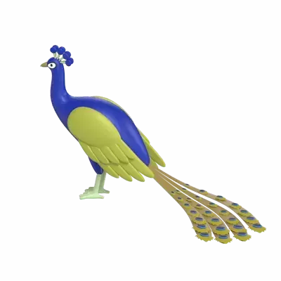 Pavo real 3D Graphic