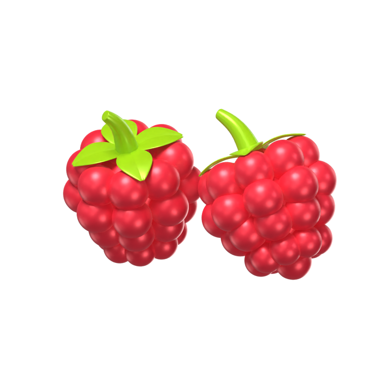 Two Raspberry Fruits 3D Model 3D Graphic
