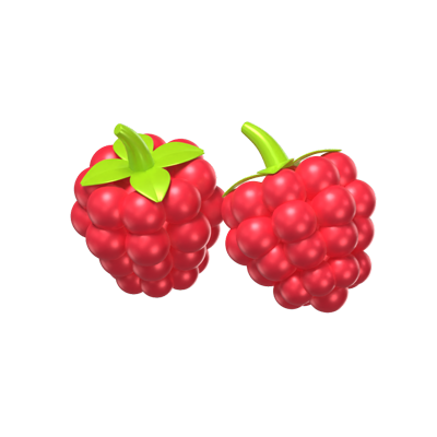 Two Raspberry Fruits 3D Model 3D Graphic