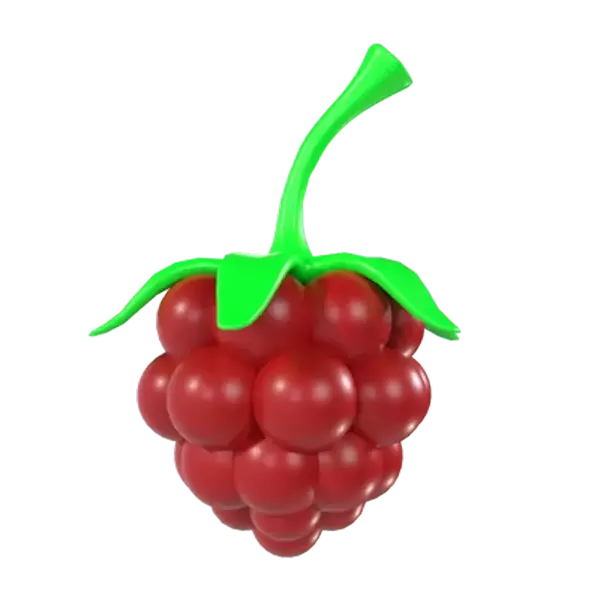 Raspberry 3D Graphic