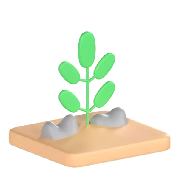 Plant In The Desert 3D Graphic