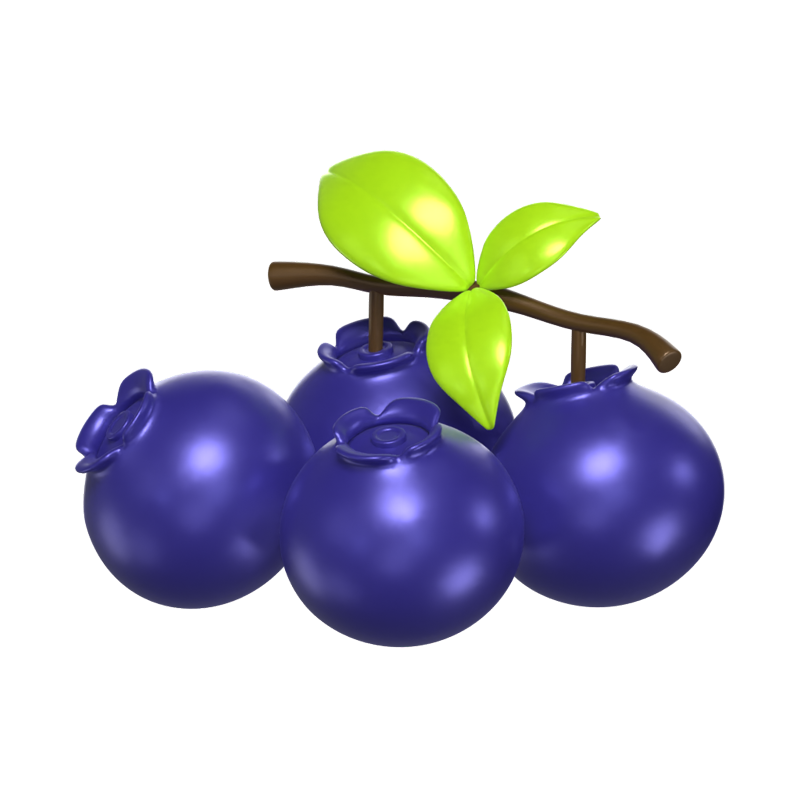 Four Blueberries 3D Fruit Model With A Stalk And Leaves 3D Graphic