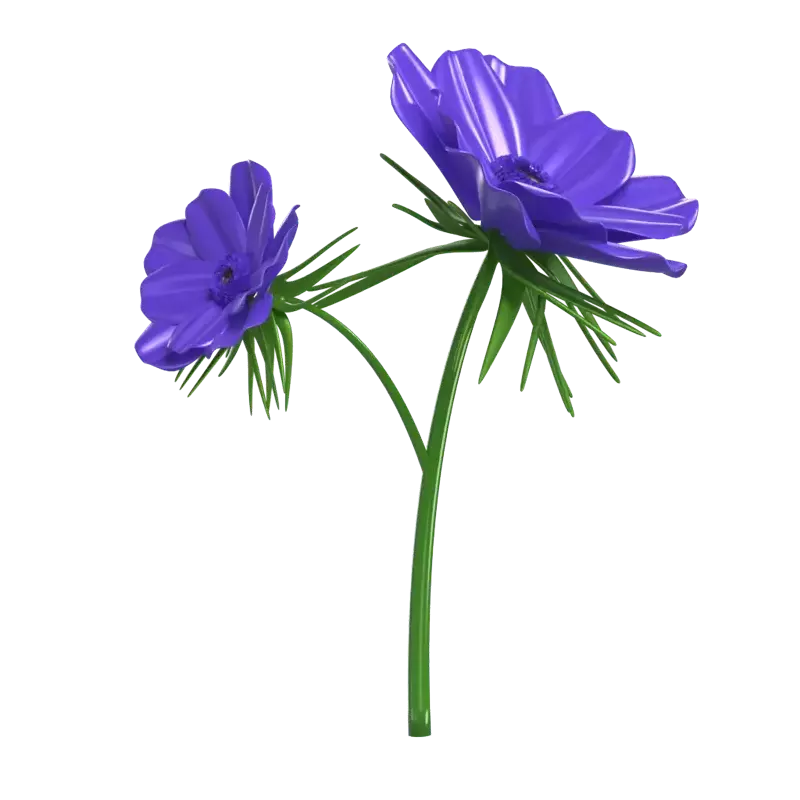 3D Purple Anemone Flower Elegant Petal 3D Graphic