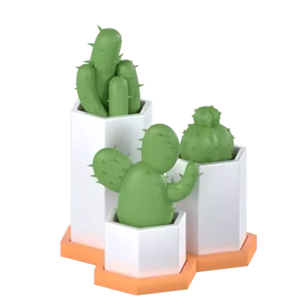 Cactus Pot 3D Graphic