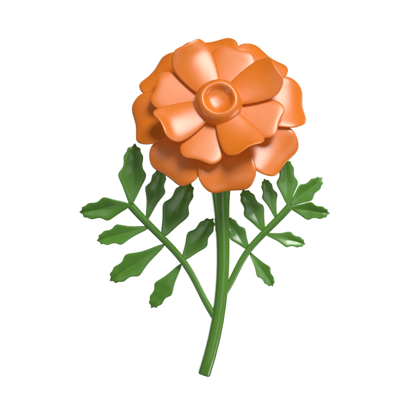 Charm Floral 3D Marigold Cute Orange Vibrant 3D Graphic