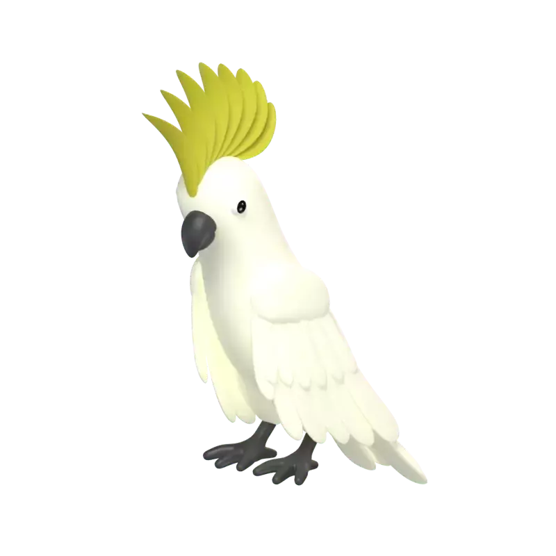 Cacatua de Crista Sulphur 3D Graphic