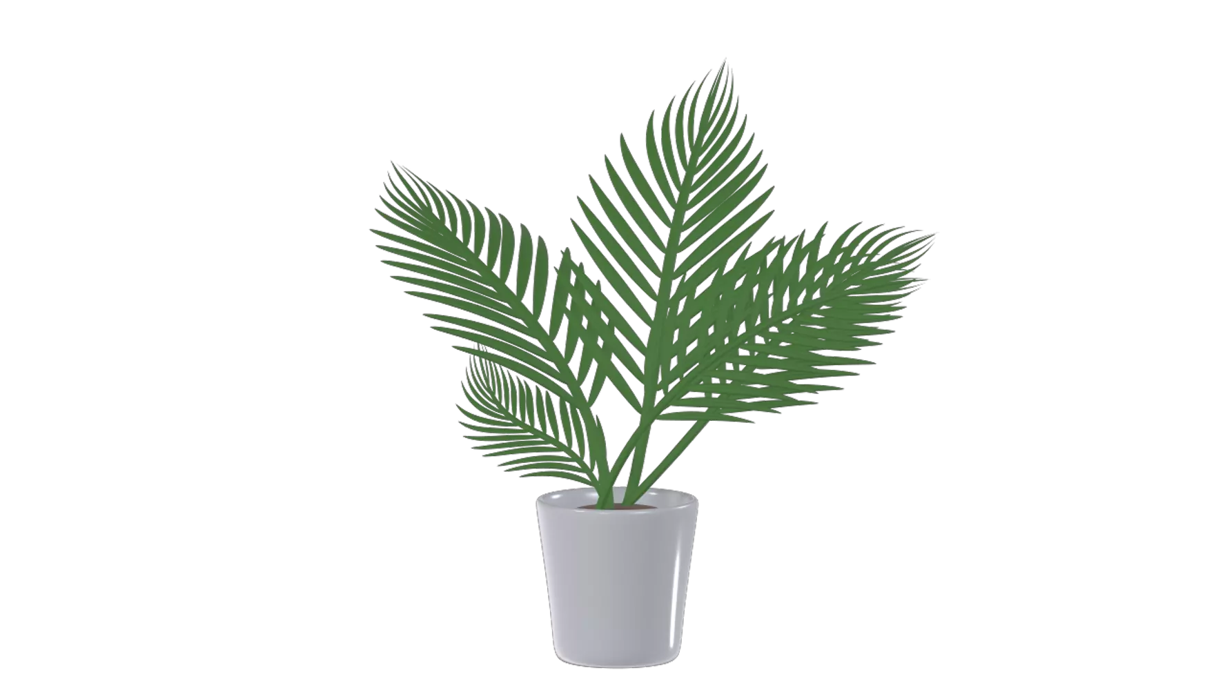 Palm Leaves With Pot 3d model--4ec2cca8-73e8-40f2-8280-66d2ffbe12bd
