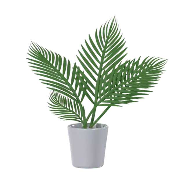 Palm Leaves With Pot