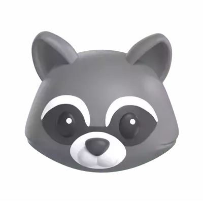 Racoon 3D Graphic