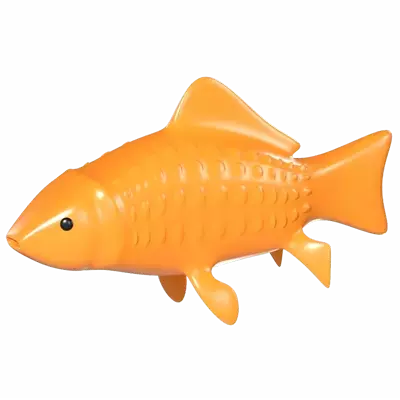 Carp Fish 3D Graphic
