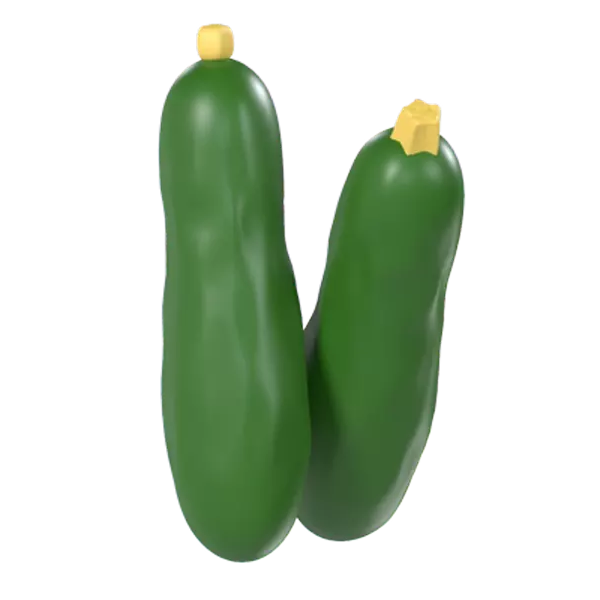 Zucchini 3D Graphic