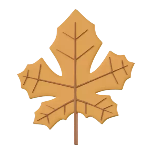 Leaf 3D Graphic