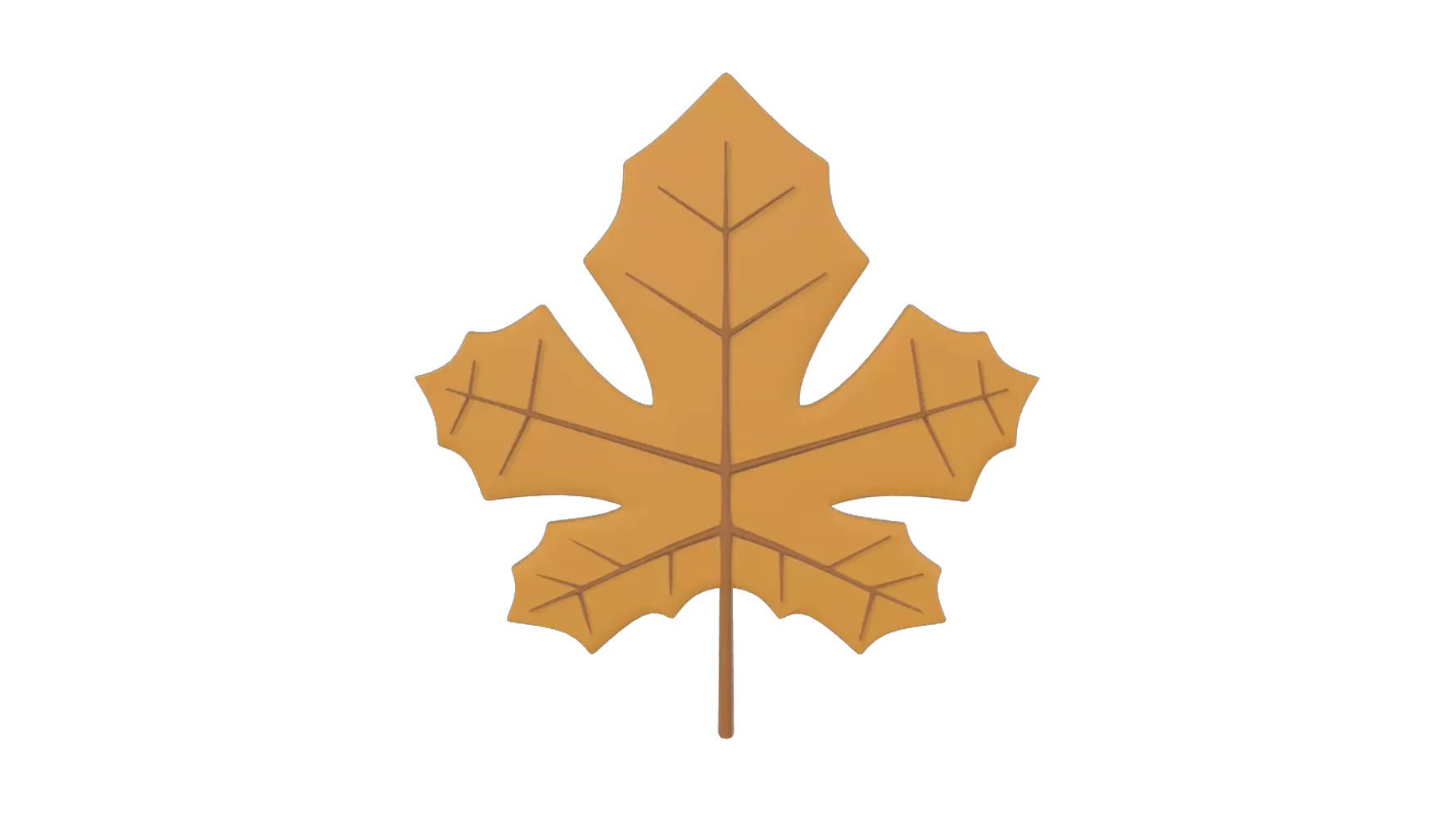 Leaf 3D Graphic