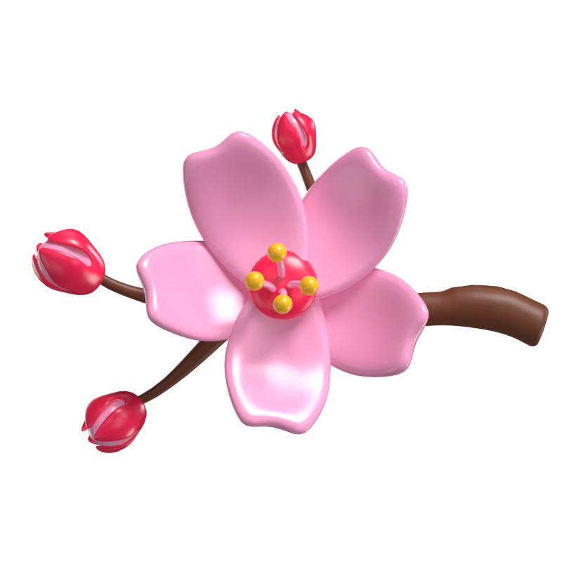 3D Cherry Cute Blossom With Three Buds 3D Graphic