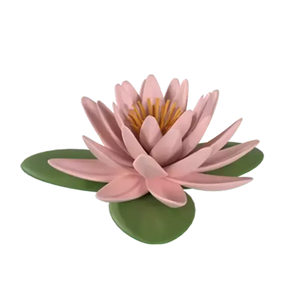 Seerose 3D Graphic