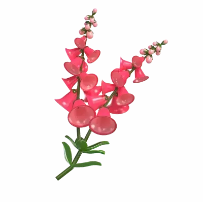 3D Foxglove Flower Model Elegant Bell Shaped Blooms 3D Graphic