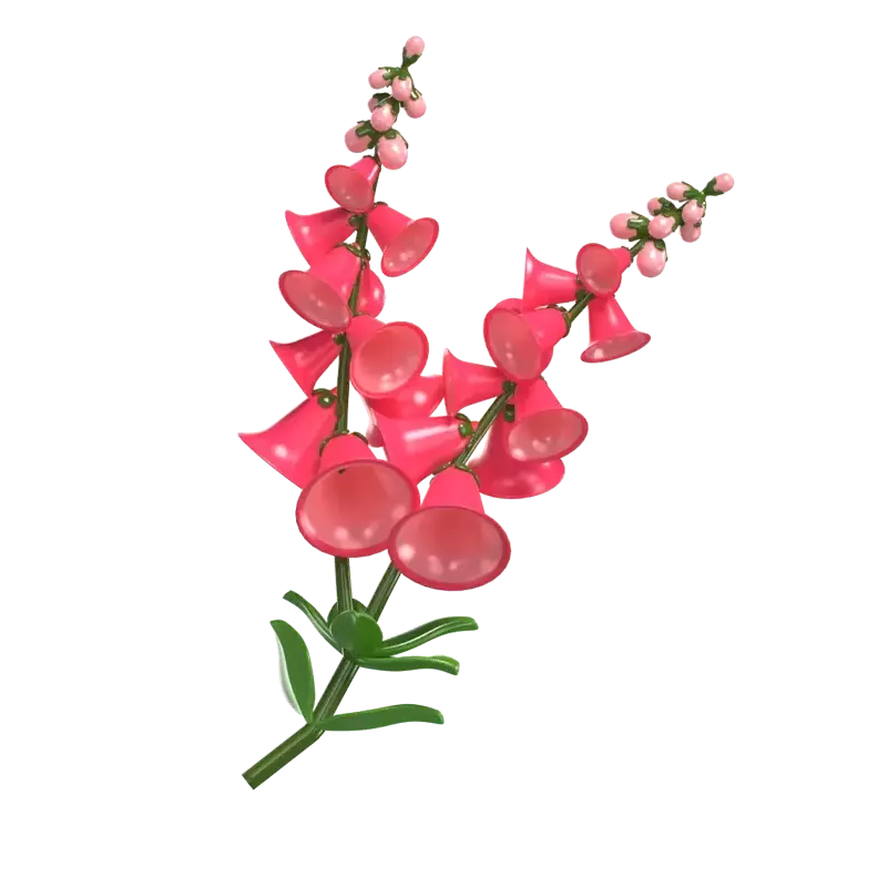 3D Foxglove Flower Model Elegant Bell Shaped Blooms 3D Graphic