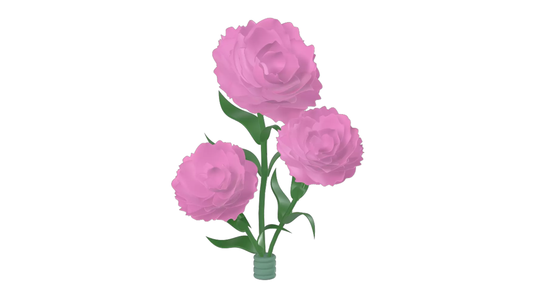 Carnations 3D Graphic
