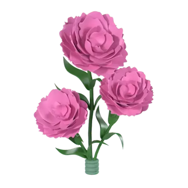 Carnations 3D Graphic