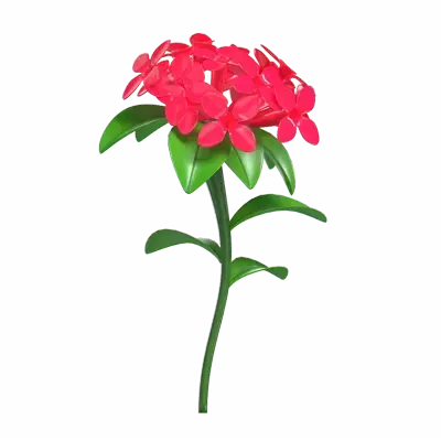 3D Model Red Bouvardia Flower 3D Graphic