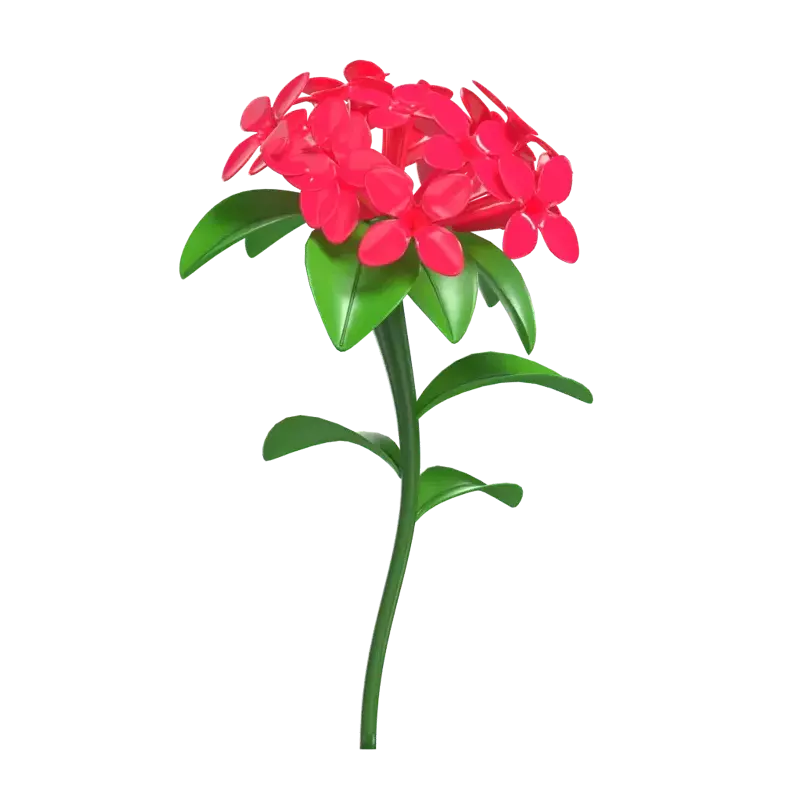 3D Model Red Bouvardia Flower 3D Graphic