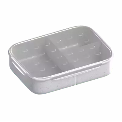 3D Food Container Square Shape With Partition 3D Graphic
