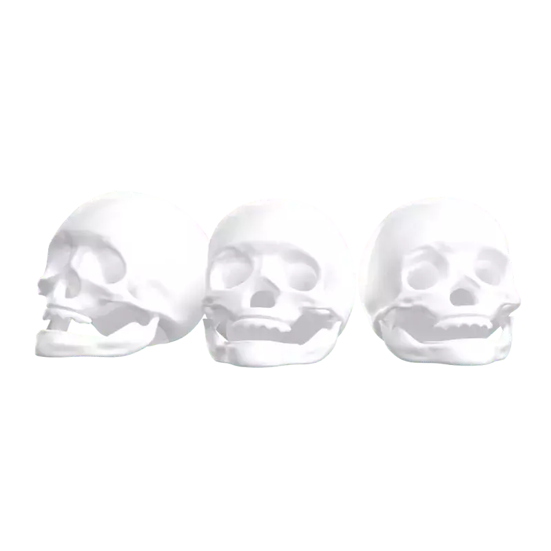 Skulls 3D Graphic