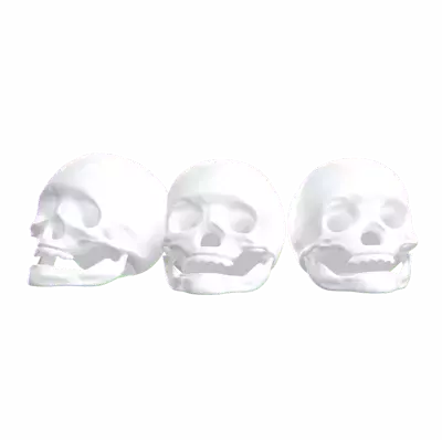 Skulls 3d model--64d163a5-6939-4998-9679-72d60d7ecf54