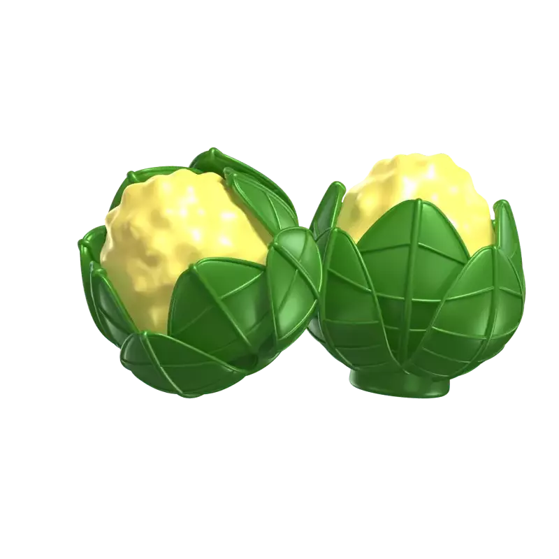 Two Cauliflower Pieces 3D Model 3D Graphic