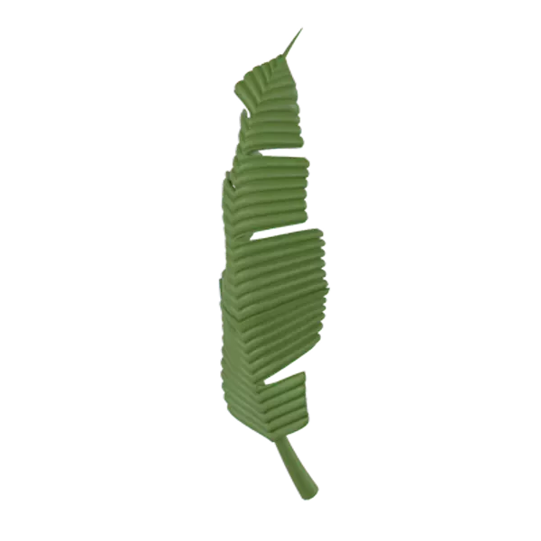 Banana Leaf 3D Graphic