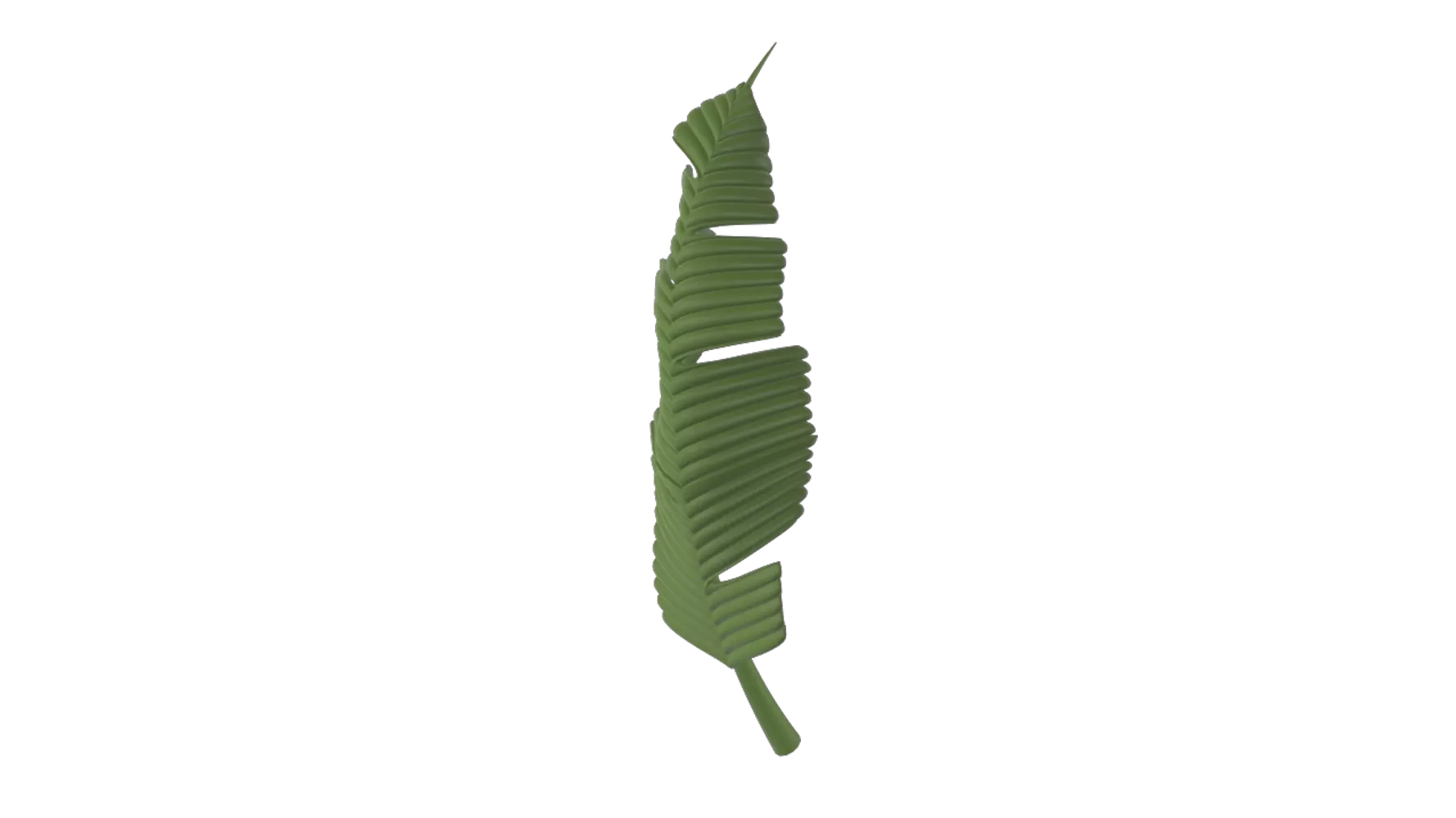 Banana Leaf 3d model--8f23813d-80a6-4d22-861e-f375708cae2c