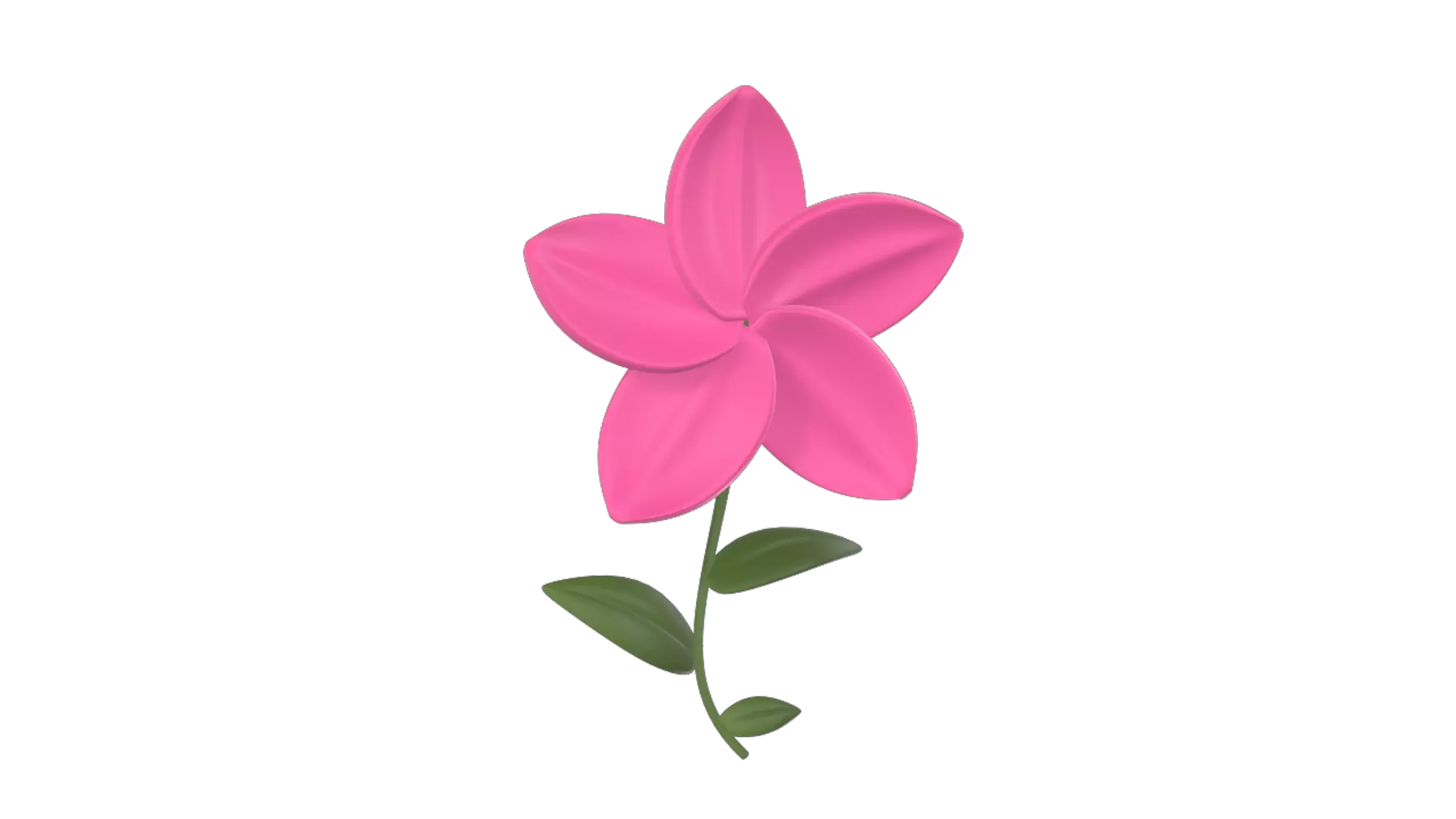 Pink Plumeria 3D Graphic