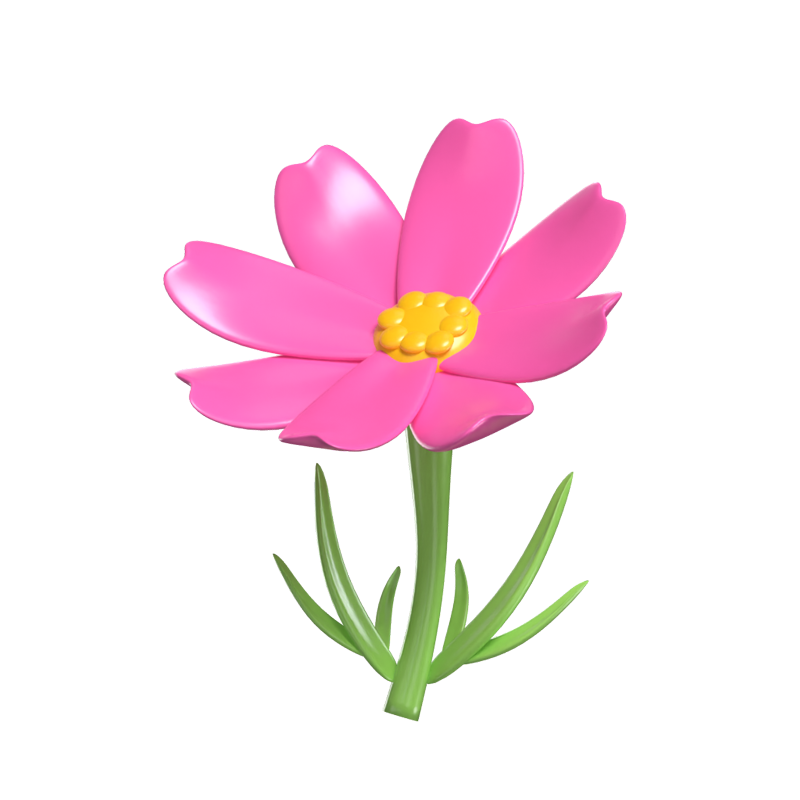 3D Cosmos Cute Delicate Floral Grace