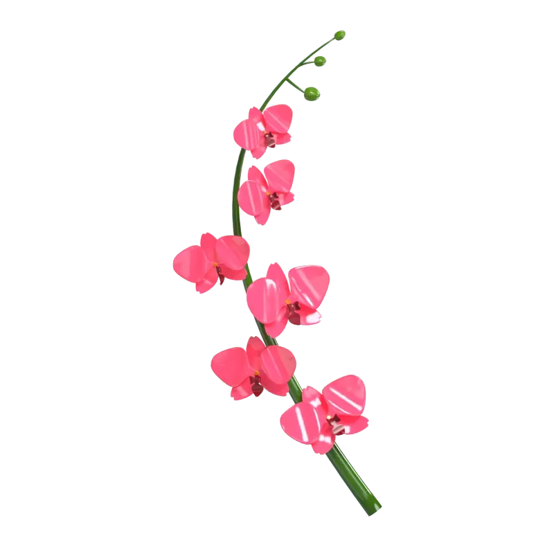 3D Orchid Flower Model Exquisite Petal Detail 3D Graphic