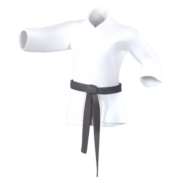 Judo 3D Graphic