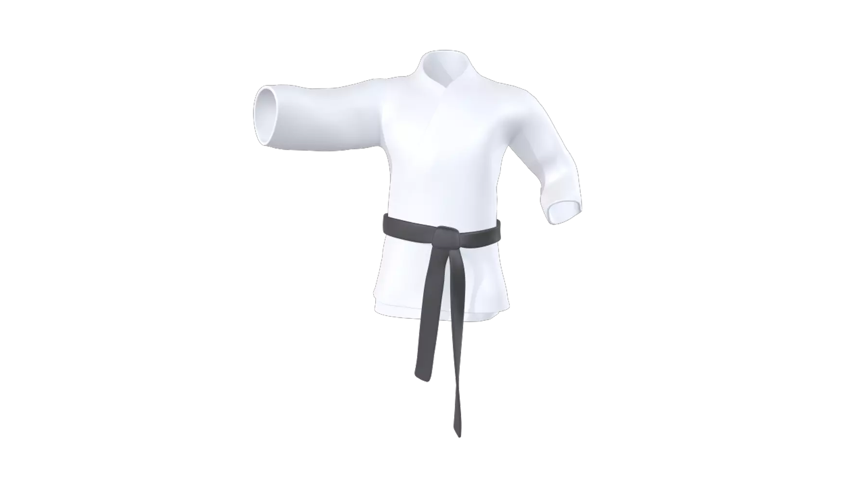 Judo 3D Graphic