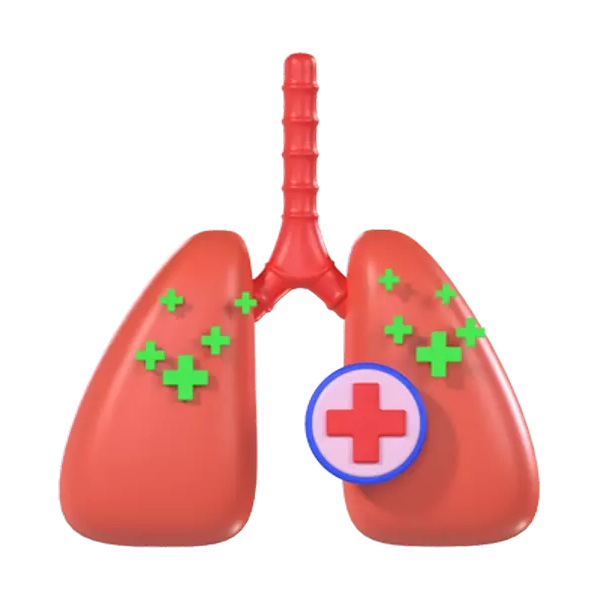 Lungs 3D Graphic