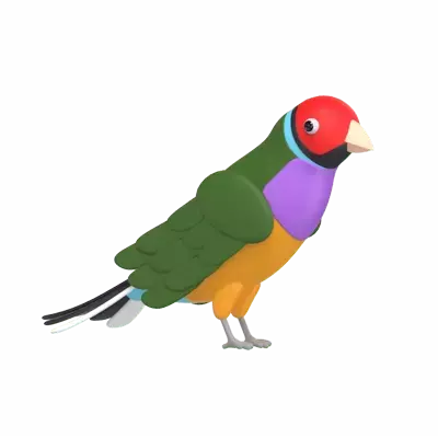 Finch 3D Graphic