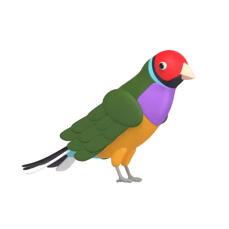 Finch 3D Graphic